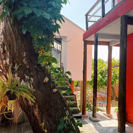 Morada Cacauera Appartement Itacaré Buitenkant foto